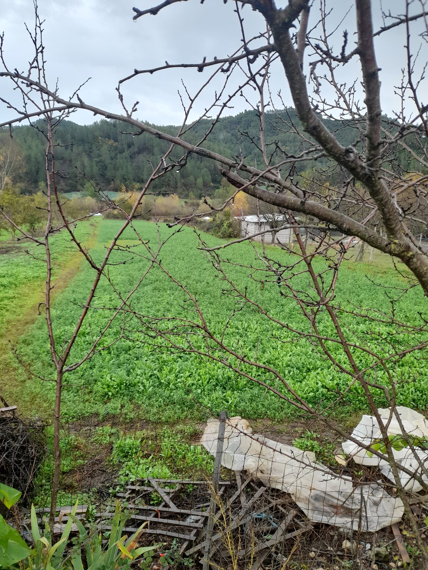 Toke 1500 m² per shitje ne Baldushk – Tirane