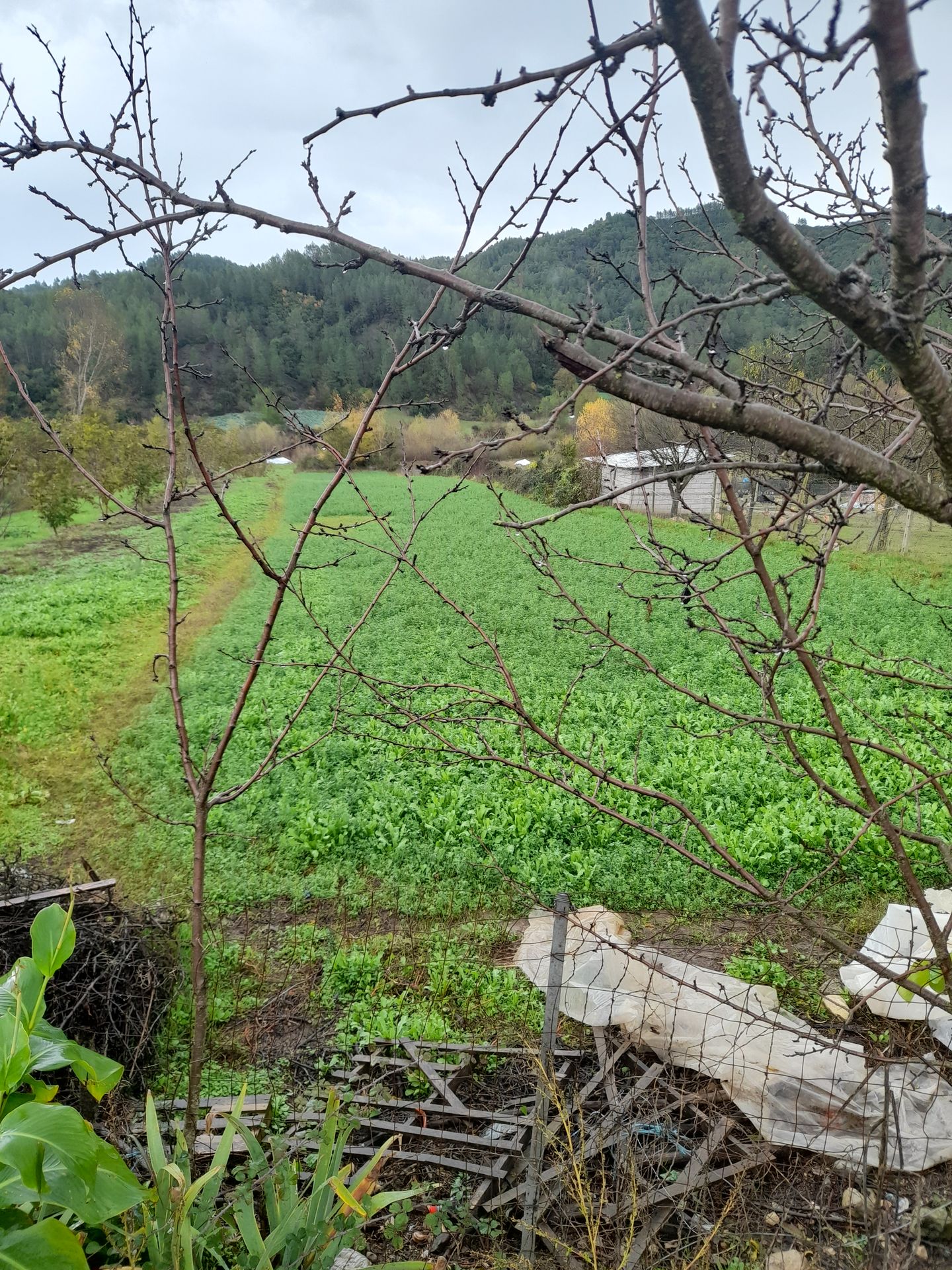 Toke 2,440 m² per shitje ne Baldushk – Tirane