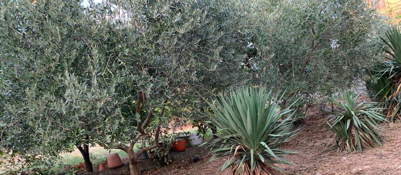 2 Apartamente + Tokë 336 m² në Gjirin e Lalzit – Maminas | 160.000 €